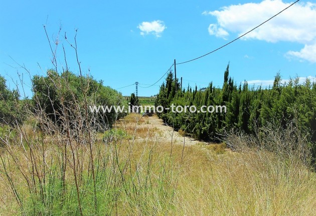 New Build - Villa - Teulada - Campo