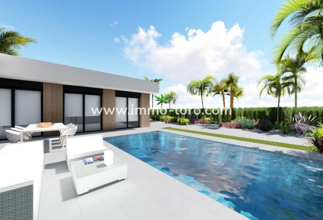 Nueva construcción  - Villa / Chalet - Calasparra - Urbanización coto riñales