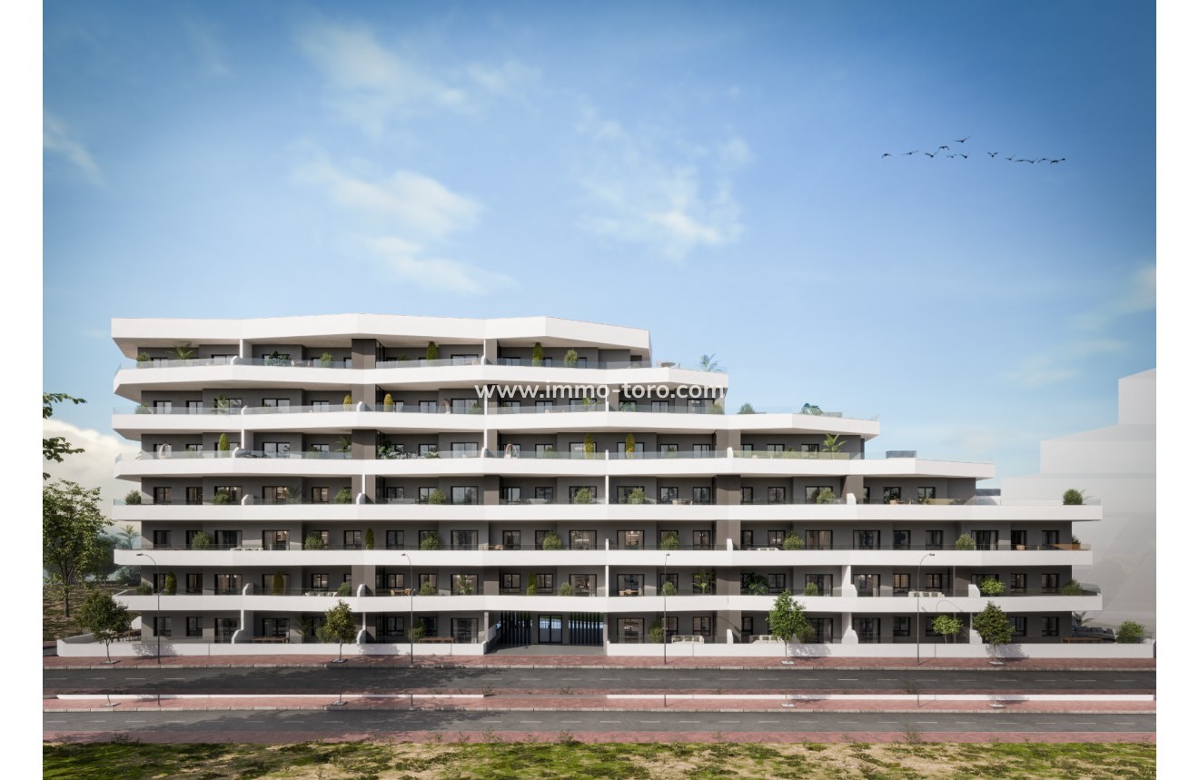 New Build - Apartment - San Miguel de Salinas