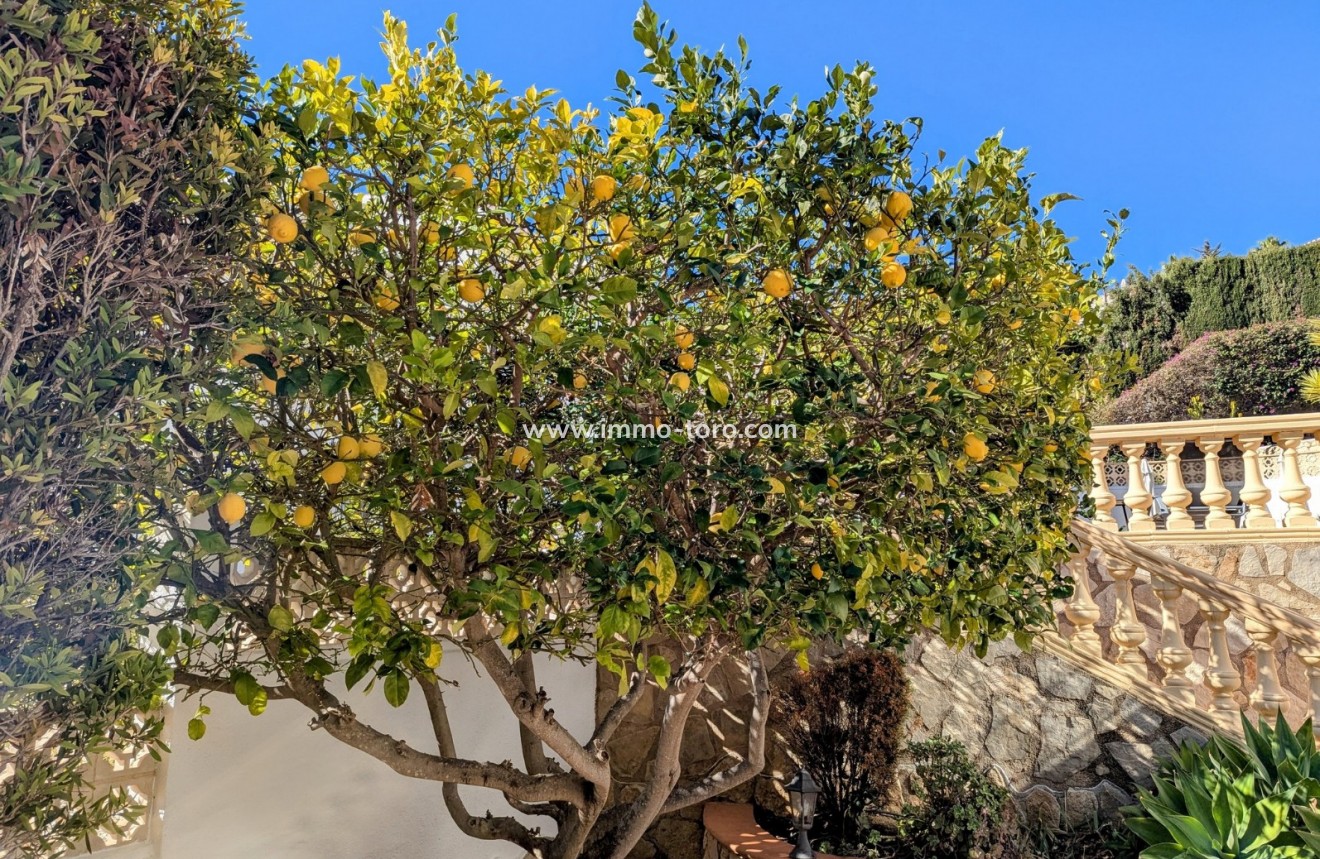 Venta - Villa / Chalet - Benitachell