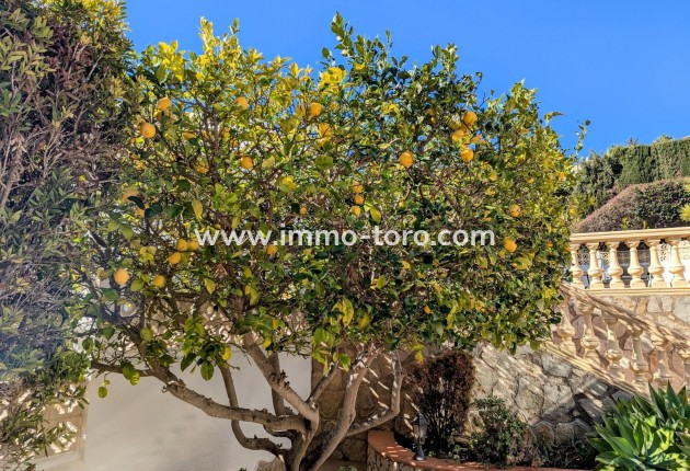 Venta - Villa / Chalet - Benitachell