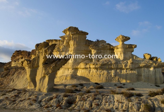 Nieuwbouw - Villa - Fuente Álamo - La Pinilla