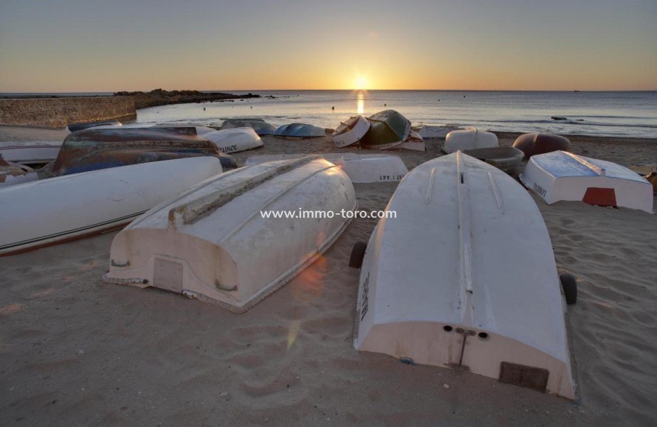 Nouvelle construction - Villa - Torrevieja