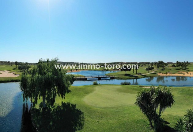 Nouvelle construction - Maison jumelée - Orihuela - Vistabella Golf