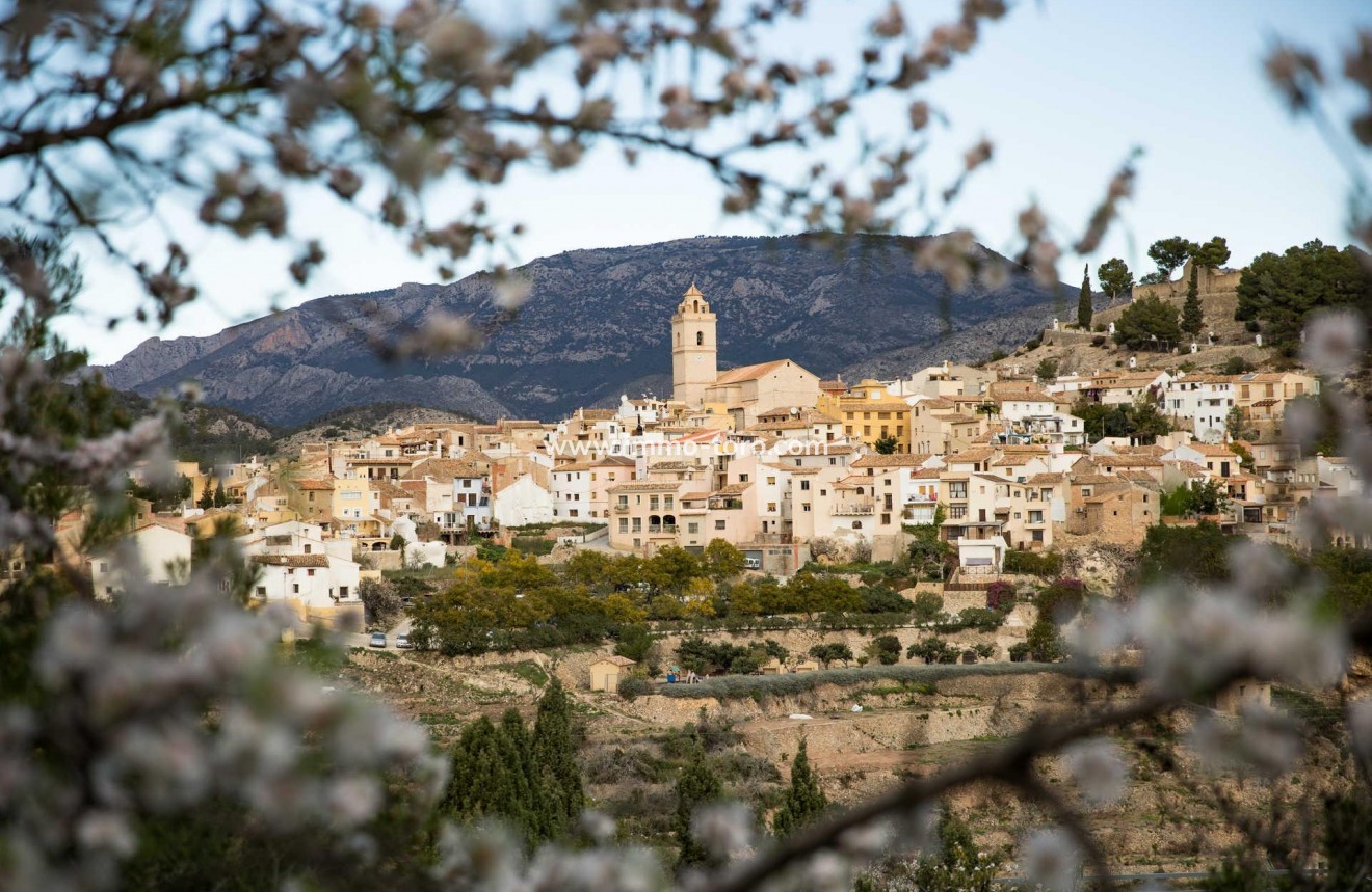 Nouvelle construction - Villa - Polop - Polop Hills