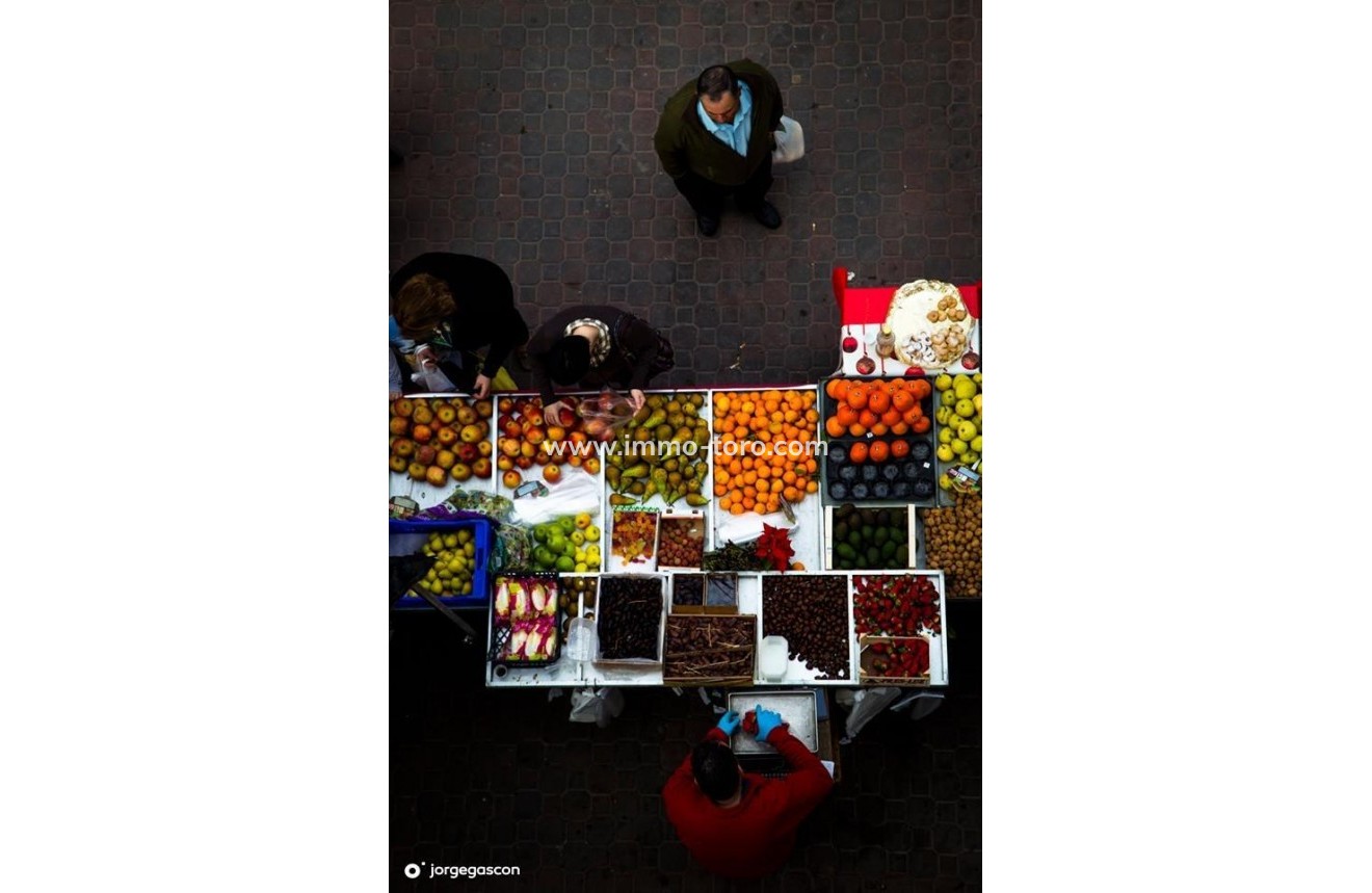 New Build - Detached house / Townhouse - Dolores - Sector 2