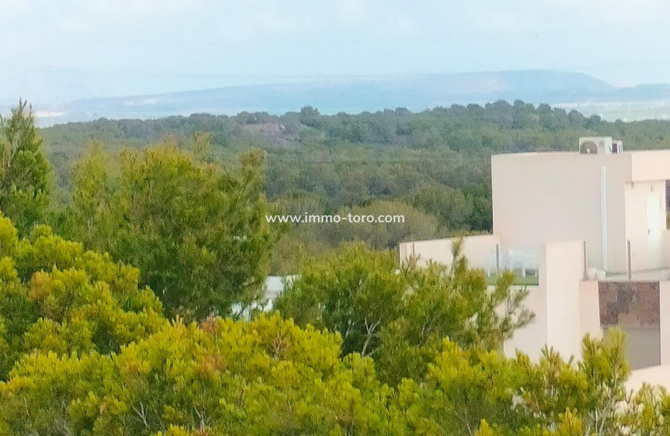 Nieuwbouw - Geschakelde woning - Orihuela - PAU 26