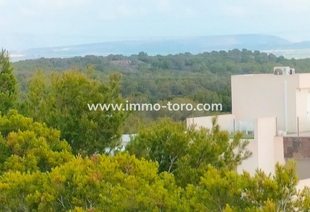 Nieuwbouw - Geschakelde woning - Orihuela - PAU 26