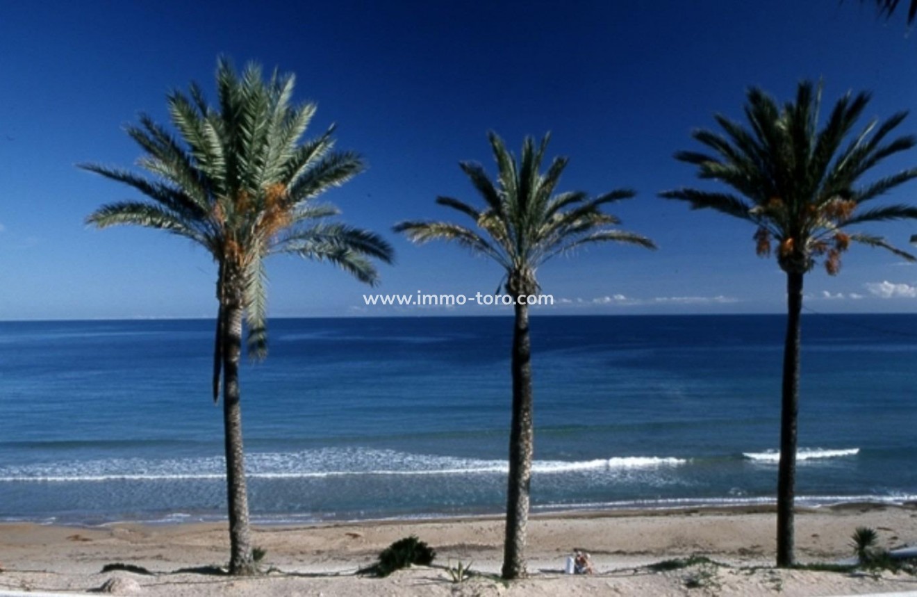 Nieuwbouw - Appartement  - Pilar de la Horadada - Parque Ramon eugenio Escudero