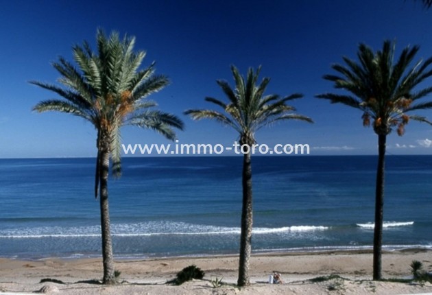 Nieuwbouw - Appartement  - Pilar de la Horadada - Parque Ramon eugenio Escudero