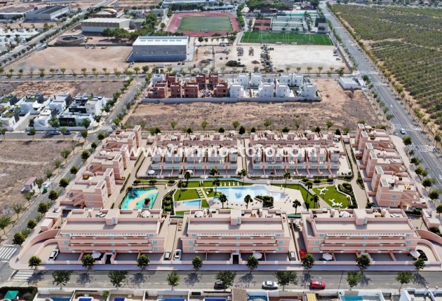 New Build - Apartment - Pilar de la Horadada - Lo Monte