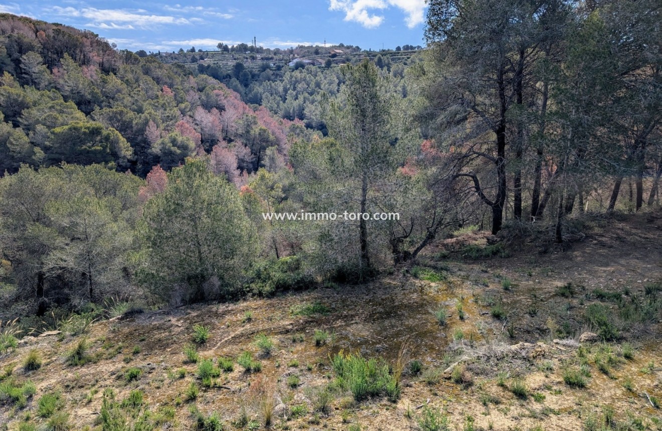 Herverkoop - Plot - Benissa - Partida Biasner