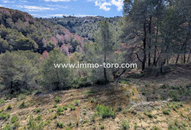 Herverkoop - Plot - Benissa - Partida Biasner