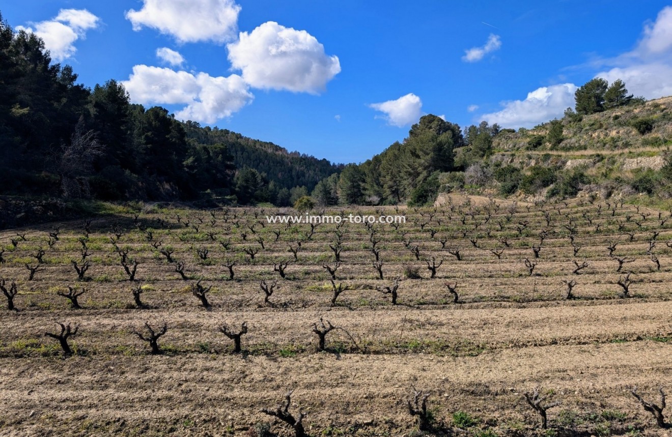 Herverkoop - Plot - Benissa - Partida Biasner