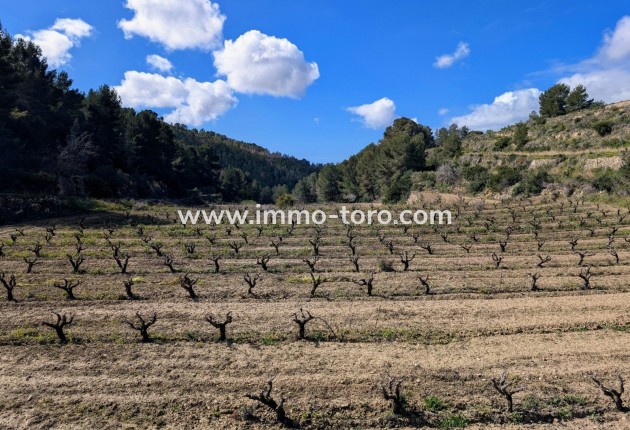 Herverkoop - Plot - Benissa - Partida Biasner