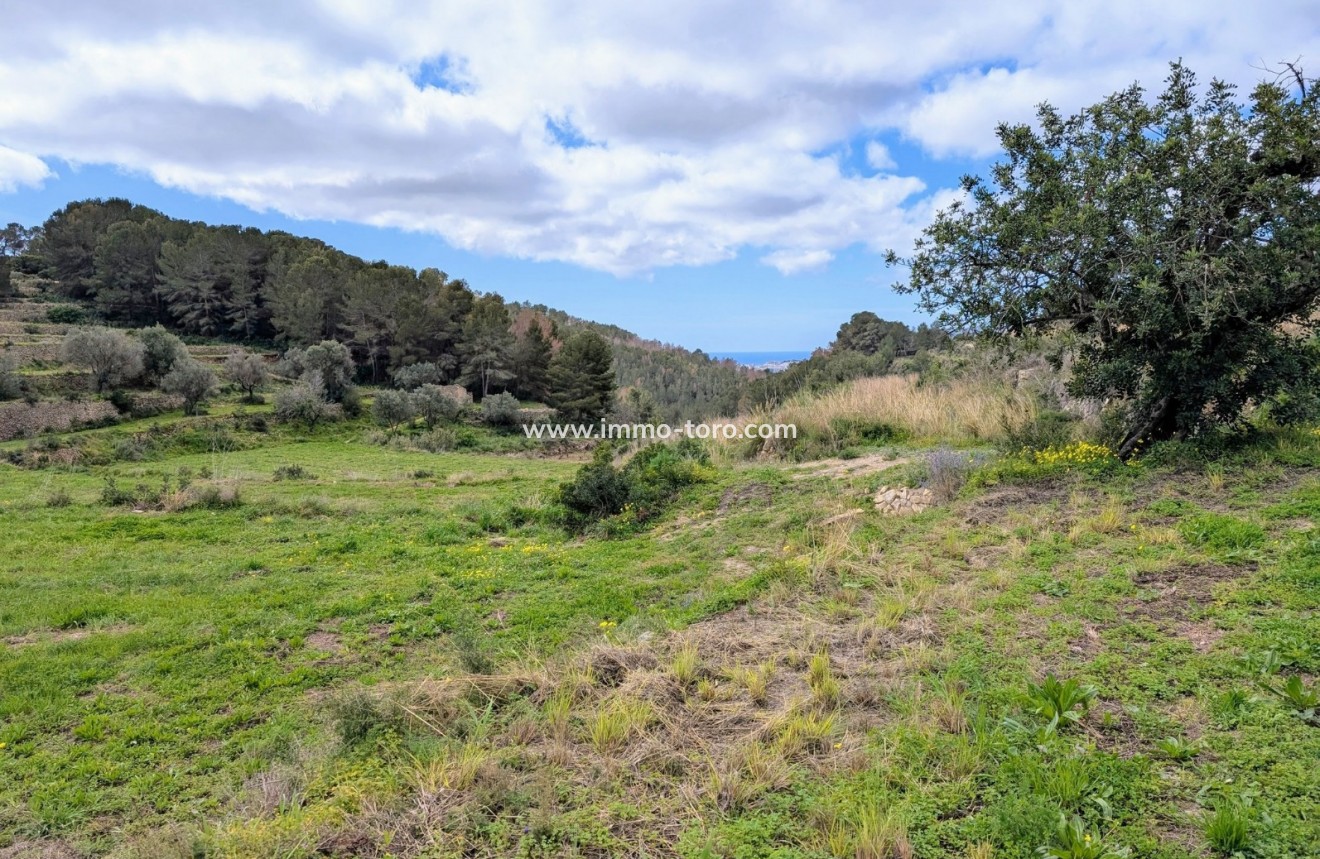 Herverkoop - Plot - Benissa - Partida Biasner