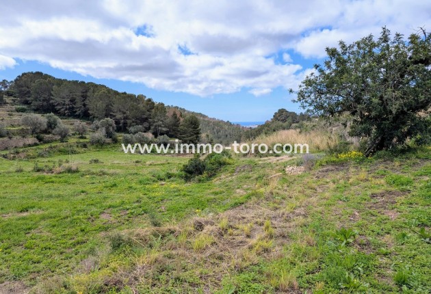 Herverkoop - Plot - Benissa - Partida Biasner