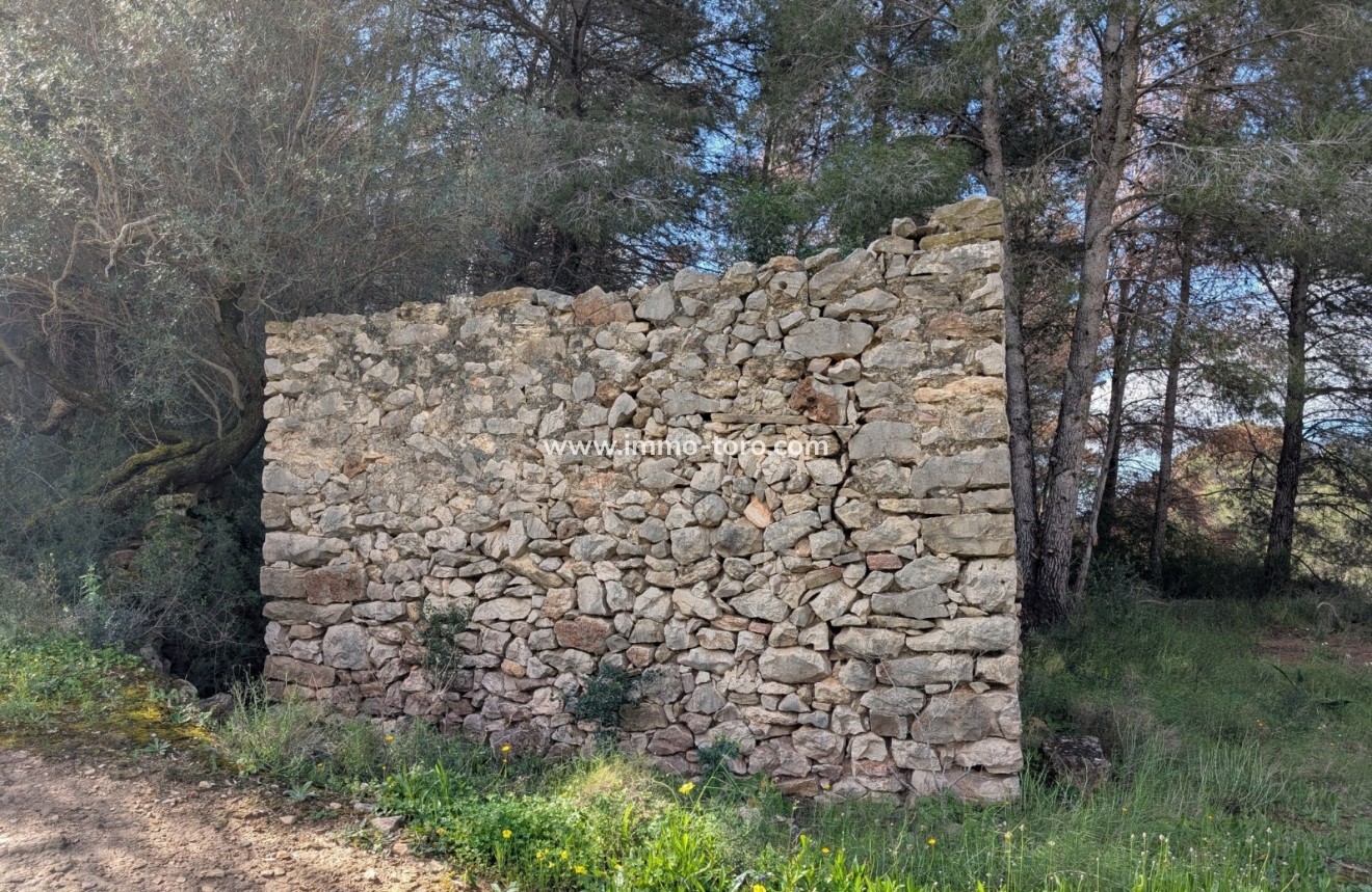 Herverkoop - Plot - Benissa - Partida Biasner