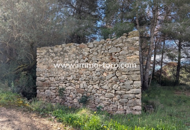 Herverkoop - Plot - Benissa - Partida Biasner