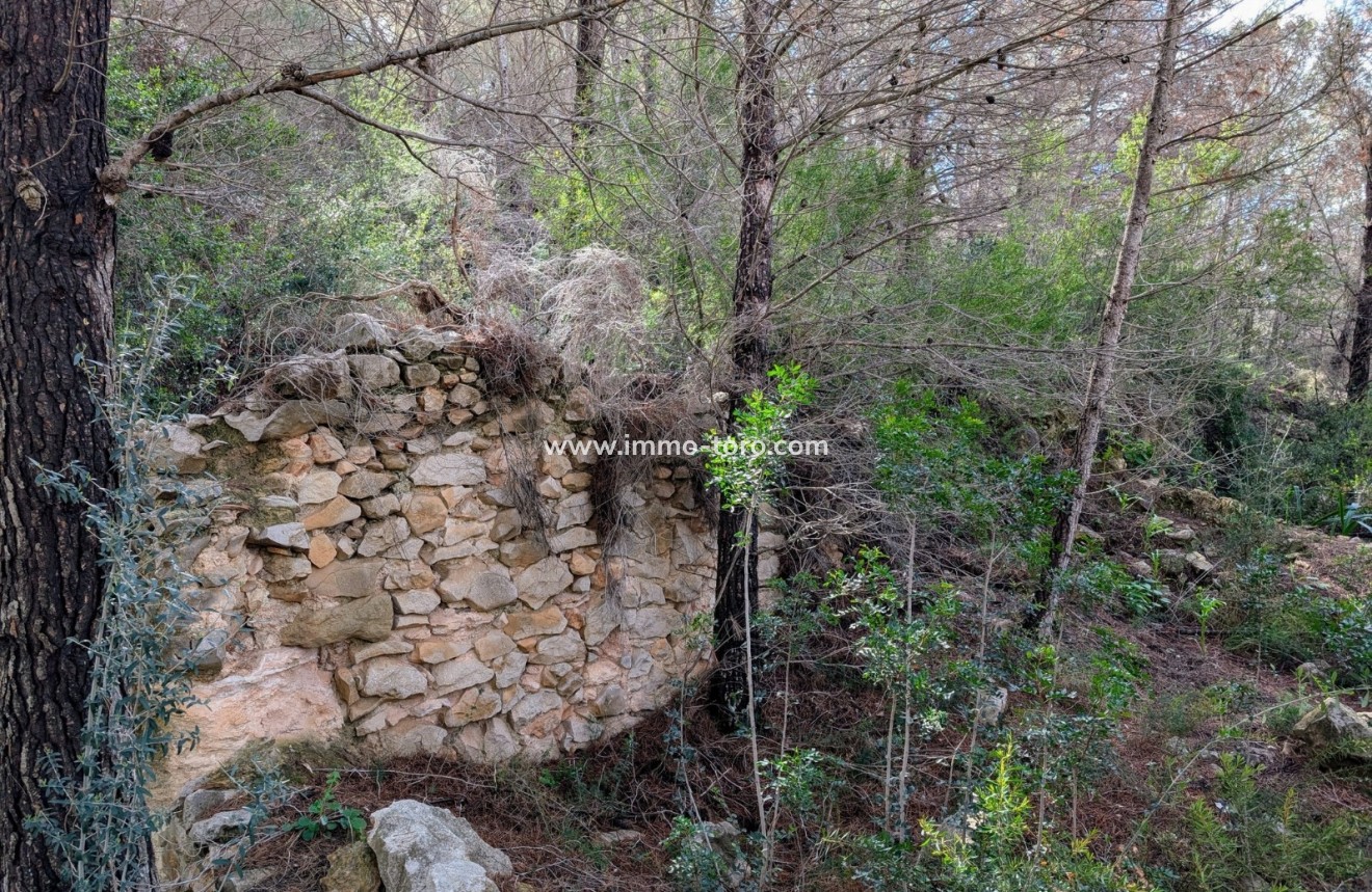 Herverkoop - Plot - Benissa - Partida Biasner