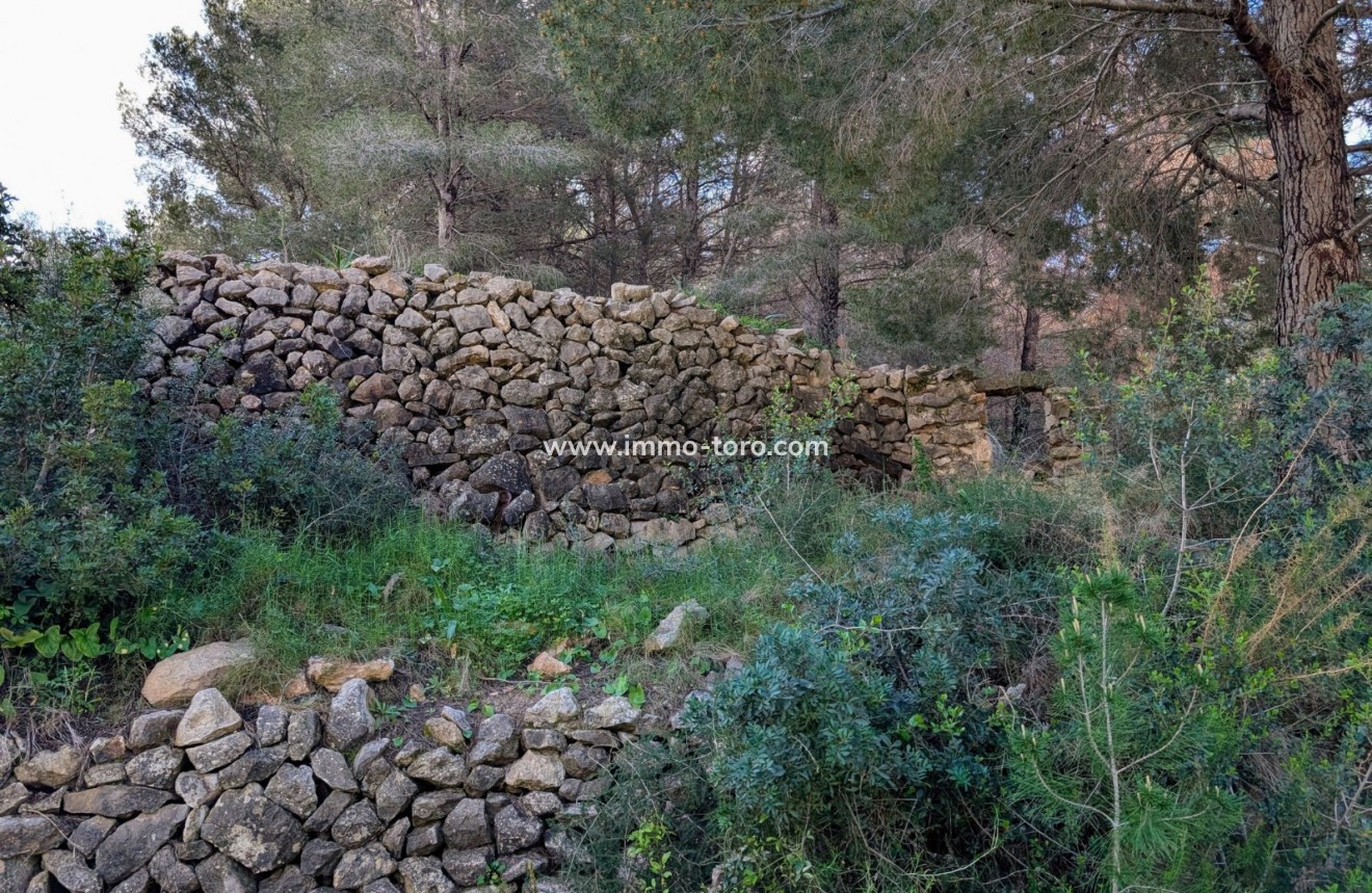 Herverkoop - Plot - Benissa - Partida Biasner