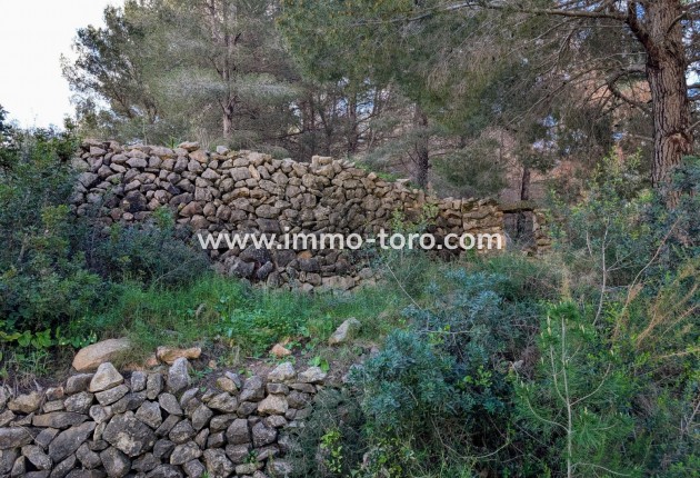 Herverkoop - Plot - Benissa - Partida Biasner