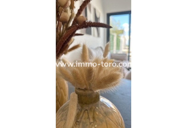 Nueva construcción  - Apartamento - San Fulgencio