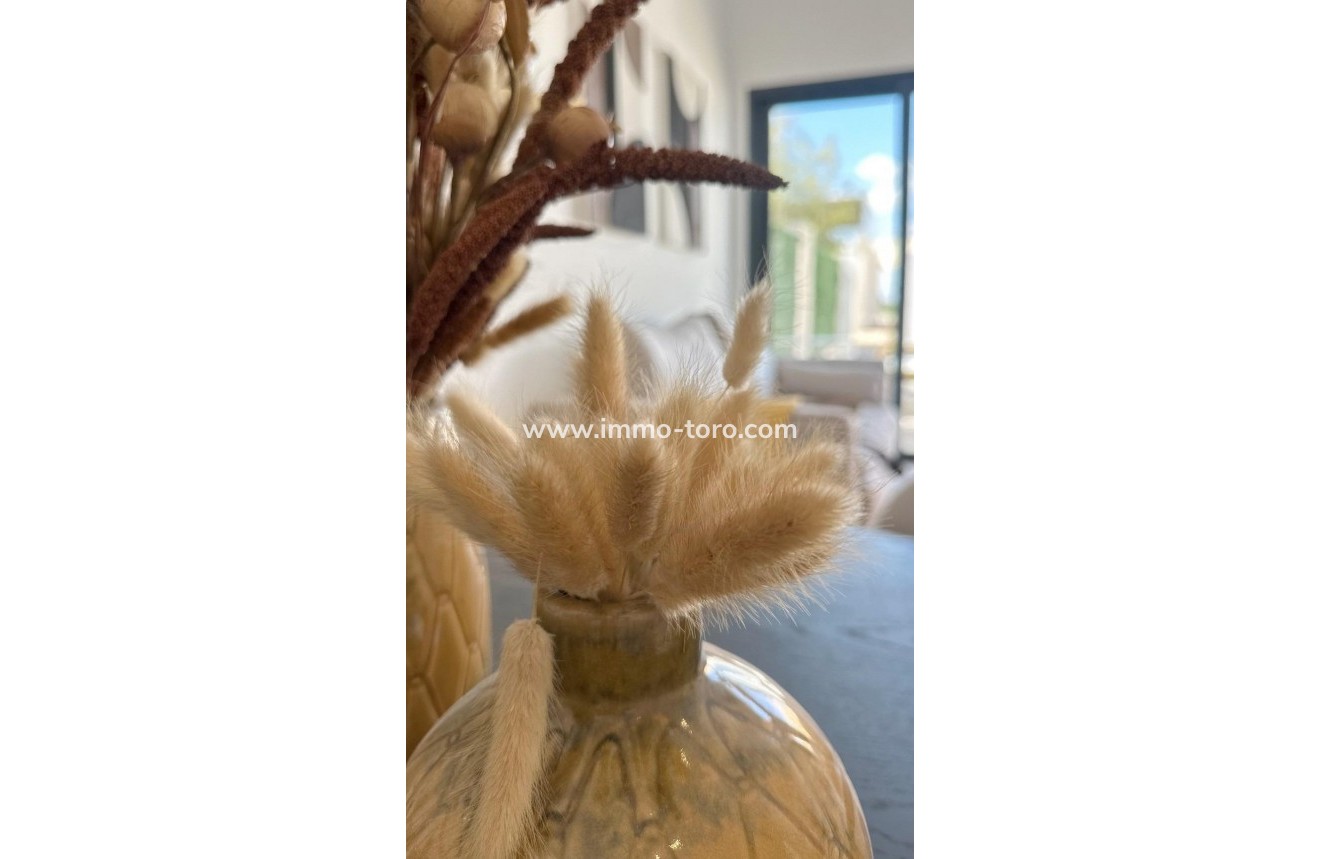 New Build - Apartment - San Fulgencio