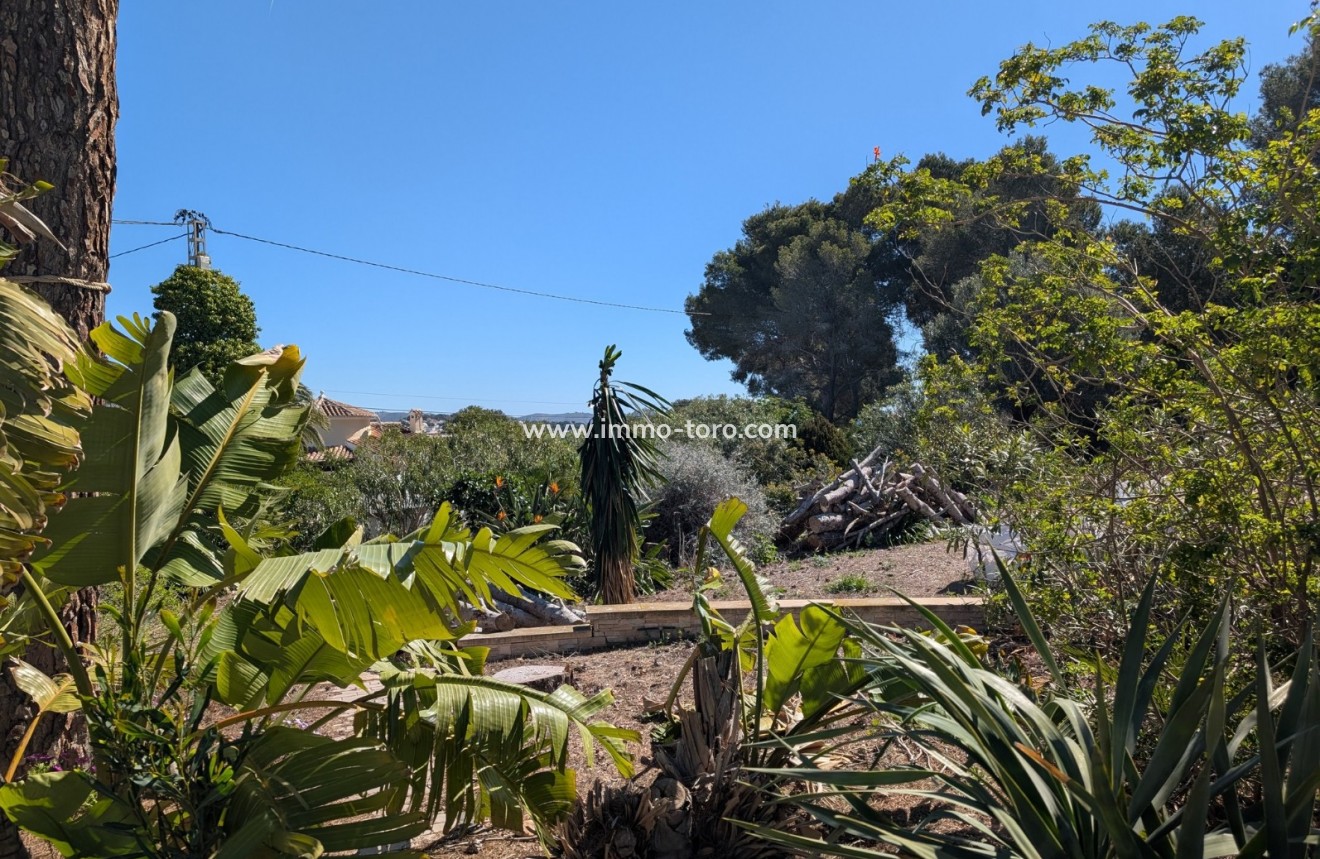 Herverkoop - Plot - Benissa - Buenavista