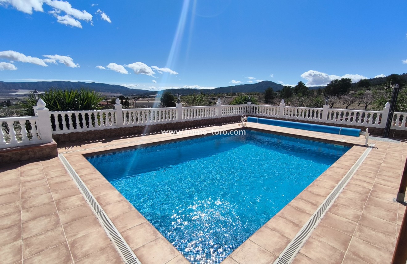 Resale - Villa - Sax - Salinas