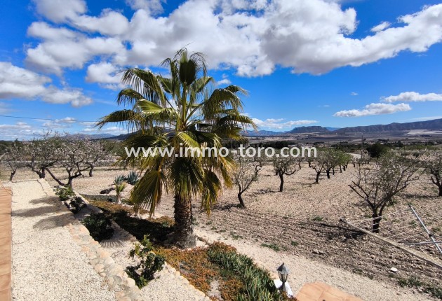 Resale - Villa - Sax - Salinas