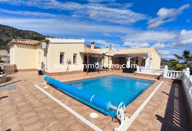 Resale - Villa - Sax - Salinas