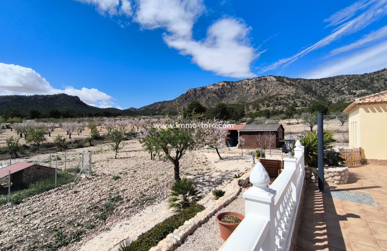 Resale - Villa - Sax - Salinas