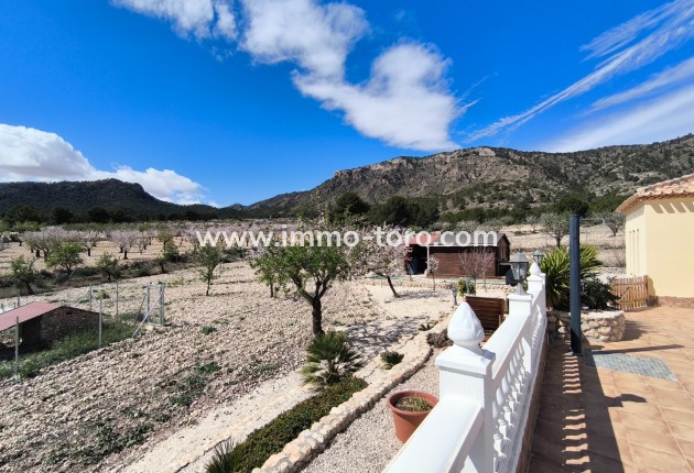 Resale - Villa - Sax - Salinas