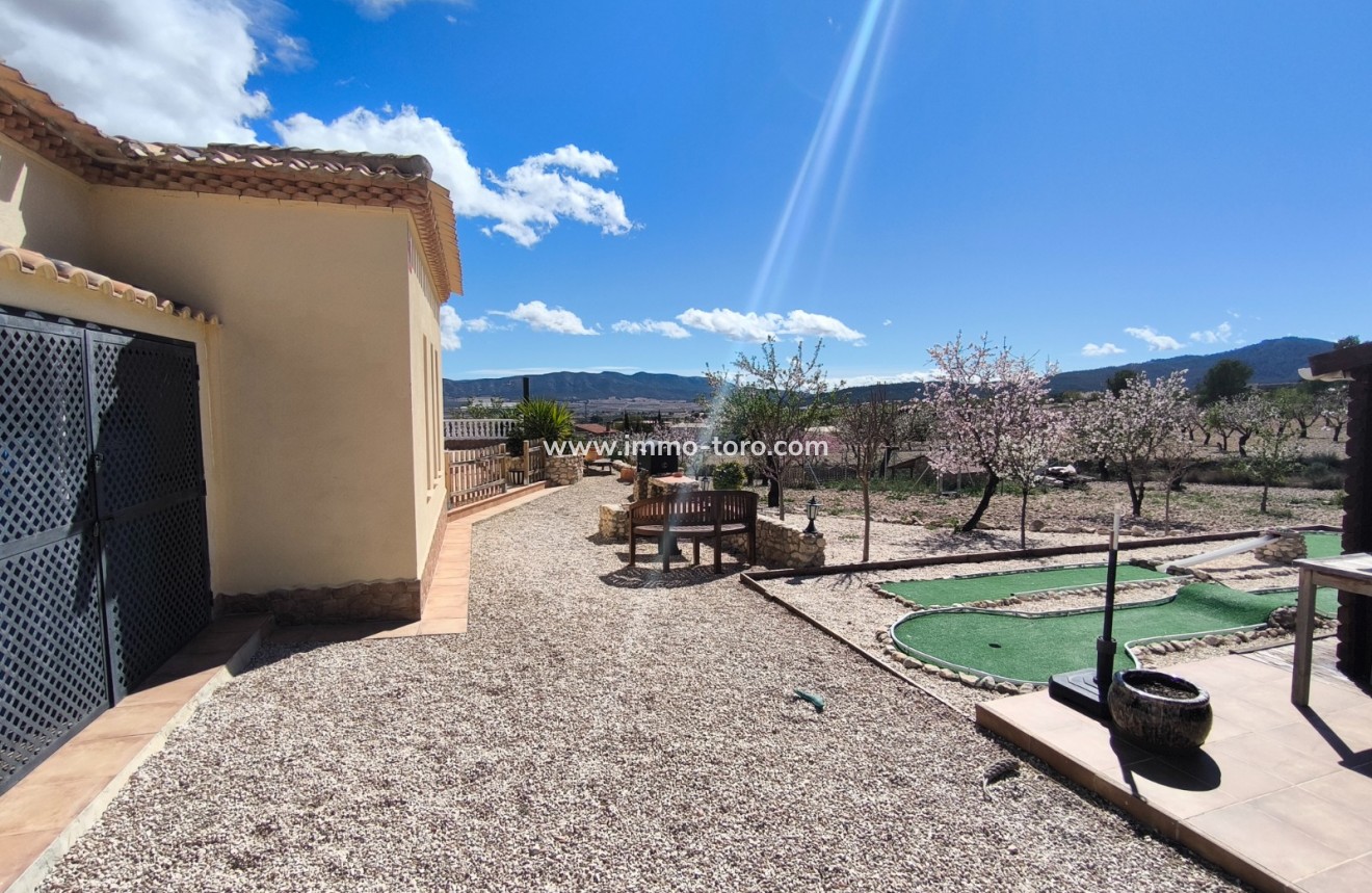 Resale - Villa - Sax - Salinas