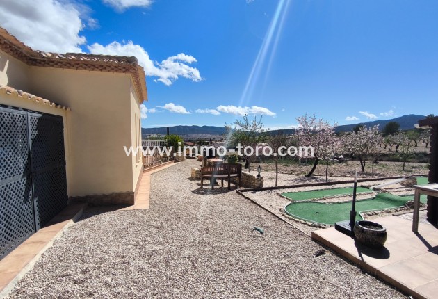 Resale - Villa - Sax - Salinas