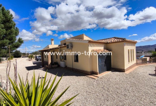 Resale - Villa - Sax - Salinas