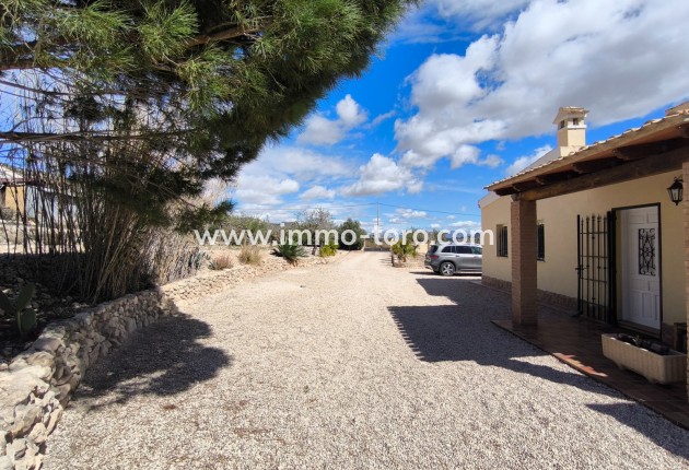 Resale - Villa - Sax - Salinas