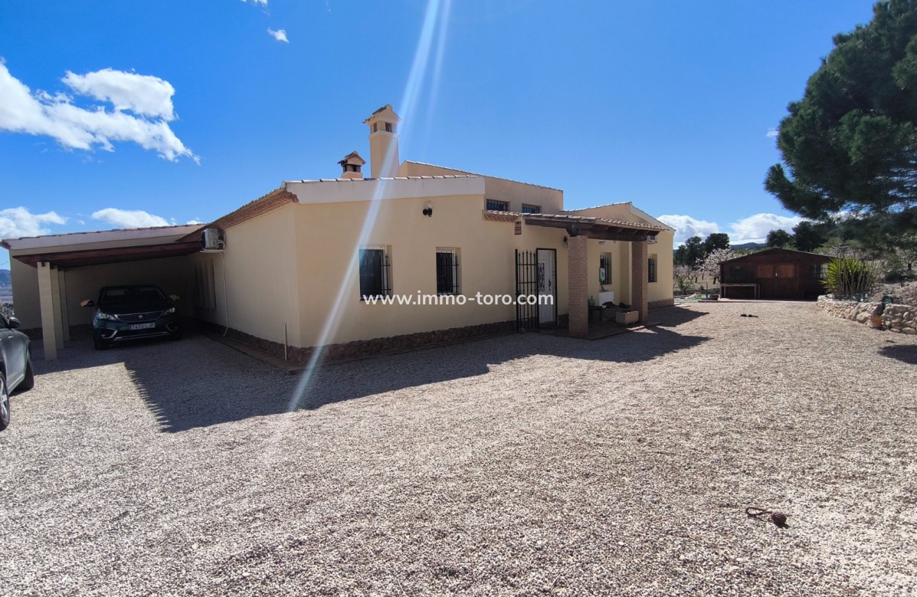 Resale - Villa - Sax - Salinas