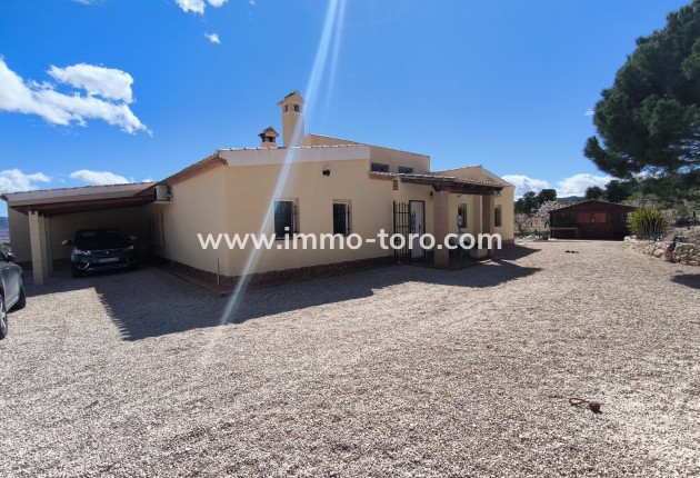 Resale - Villa - Sax - Salinas