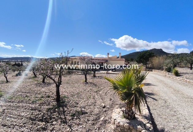 Resale - Villa - Sax - Salinas