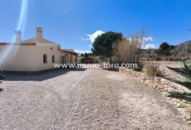 Resale - Villa - Sax - Salinas