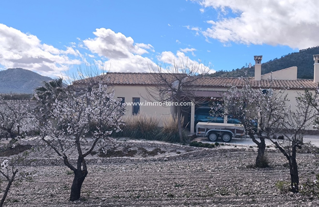 Resale - Villa - Sax - Salinas