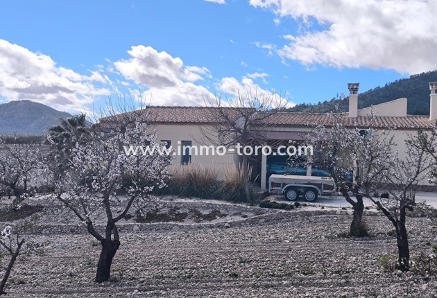 Resale - Villa - Sax - Salinas