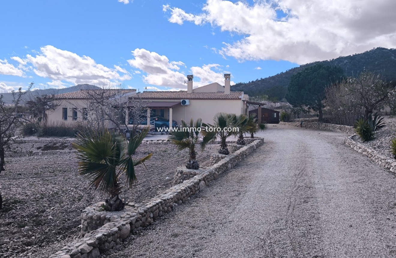 Resale - Villa - Sax - Salinas