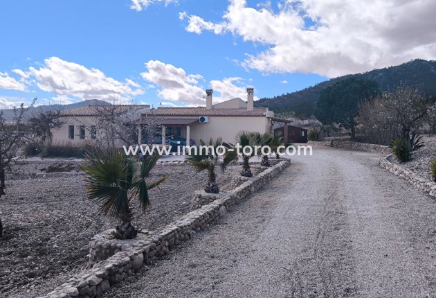 Resale - Villa - Sax - Salinas