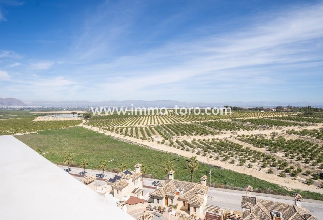 Nueva construcción  - Villa / Chalet - Algorfa - La finca golf