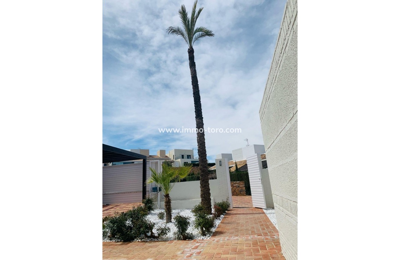 New Build - Detached house / Townhouse - Sucina - Peraleja Golf