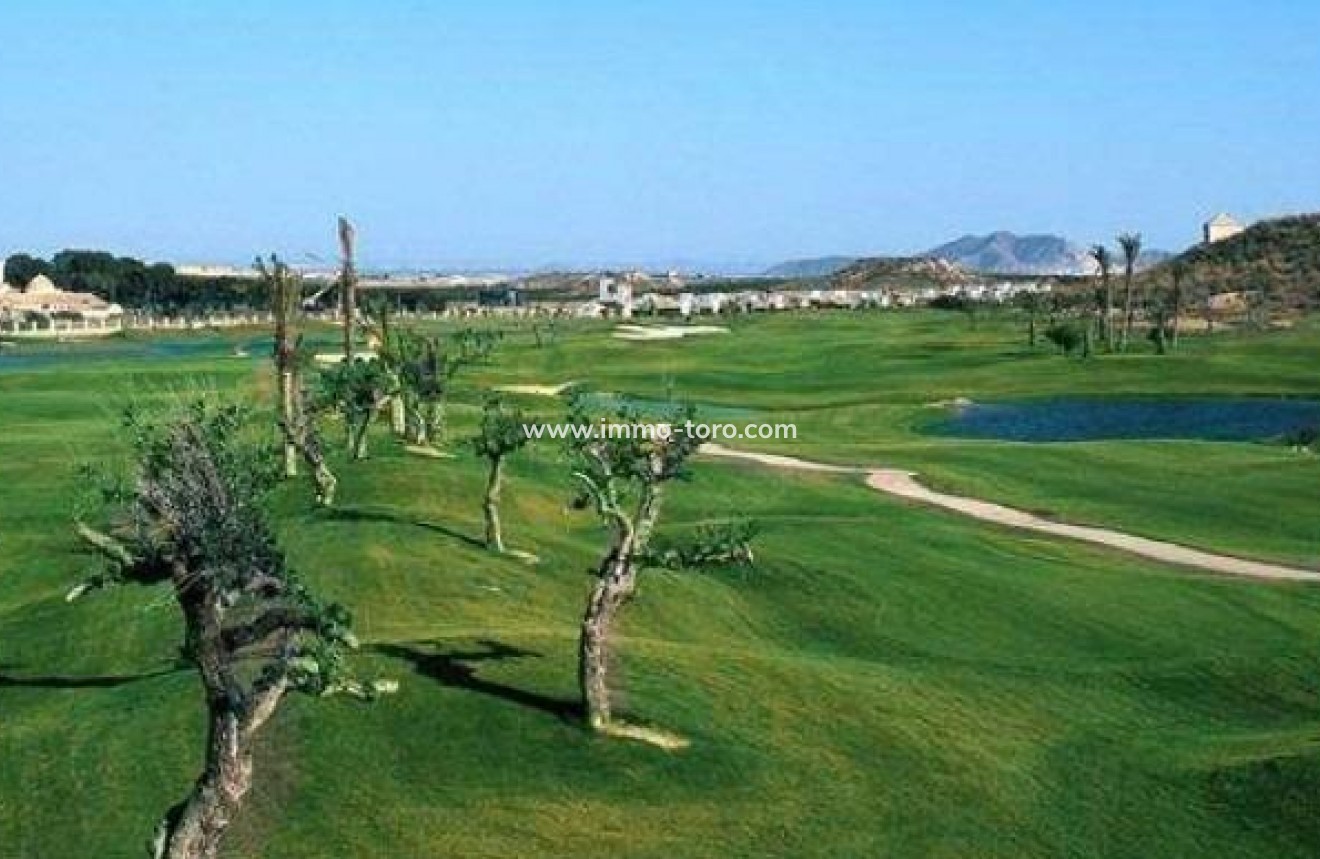 New Build - Detached house / Townhouse - Sucina - Peraleja Golf