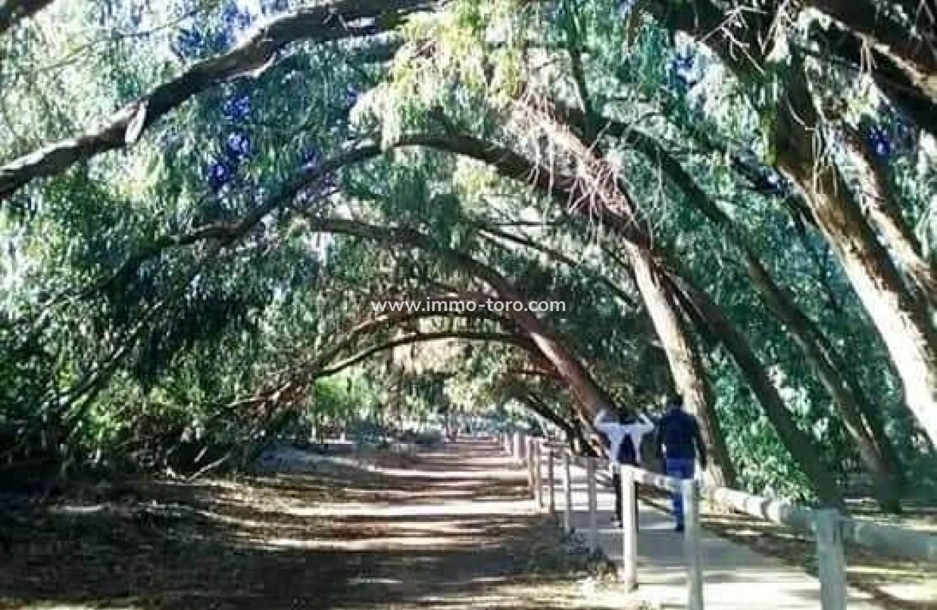 Nueva construcción  - Apartamento - Torrevieja - Altos del Sol